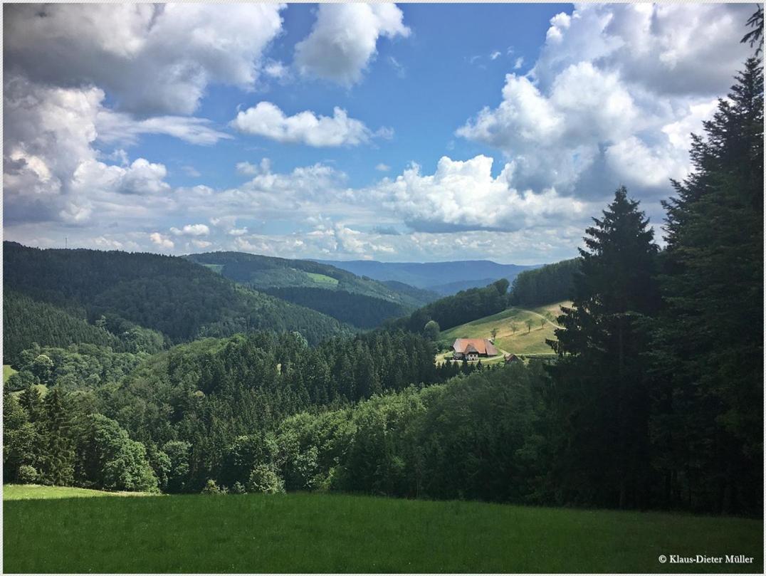 Haus Am Waldrand Villa Triberg im Schwarzwald Luaran gambar