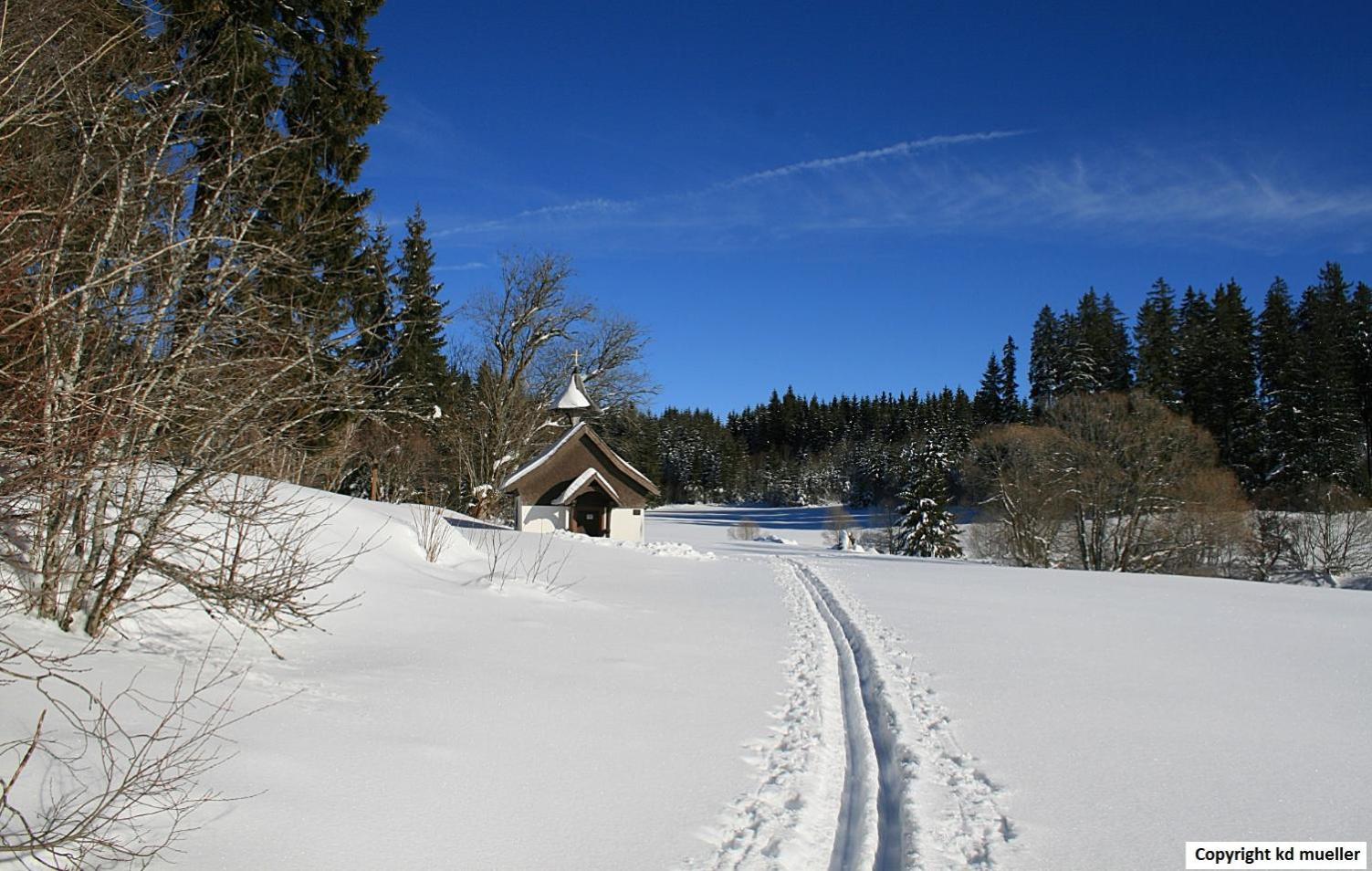 Haus Am Waldrand Villa Triberg im Schwarzwald Luaran gambar