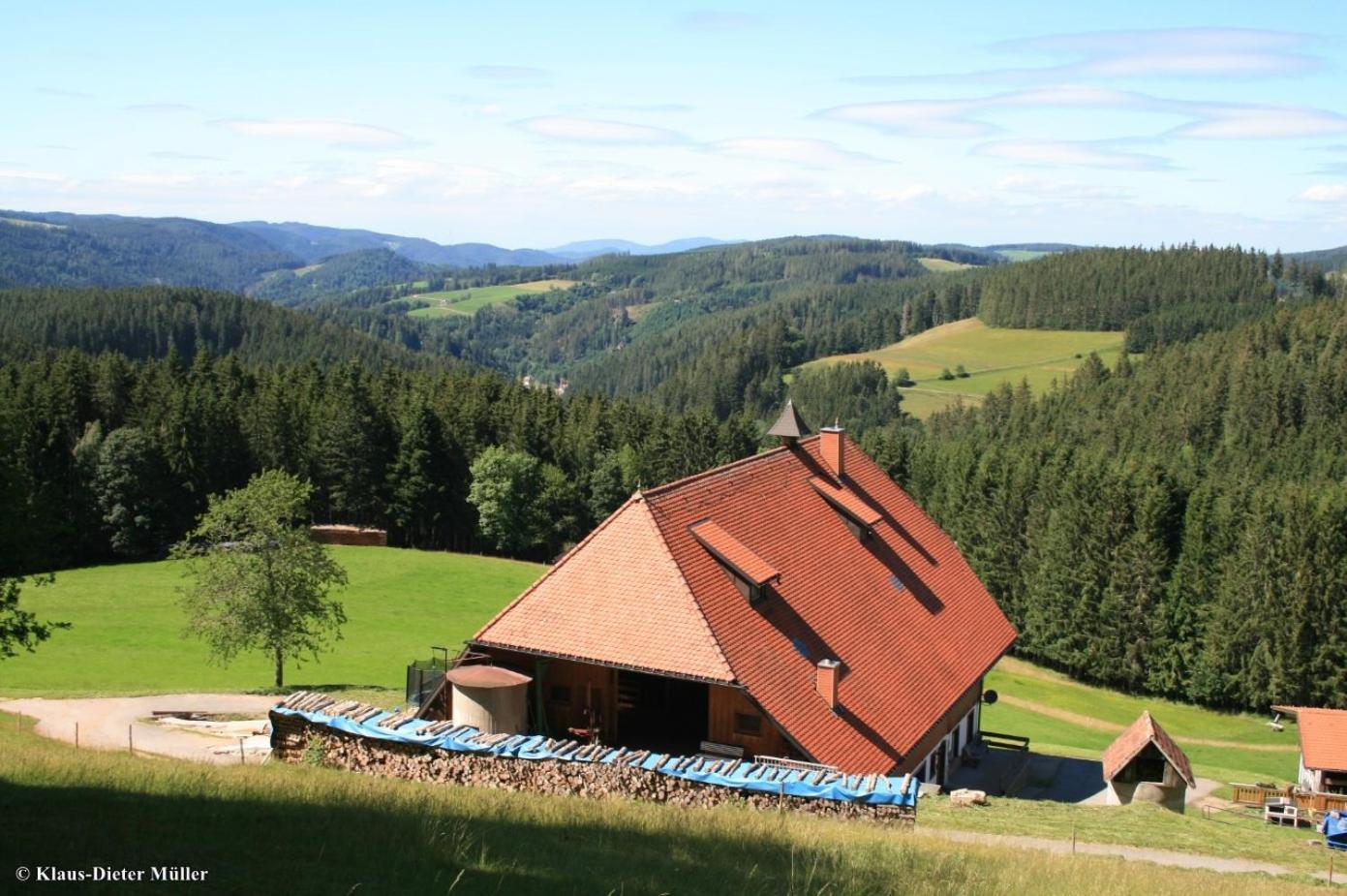 Haus Am Waldrand Villa Triberg im Schwarzwald Luaran gambar