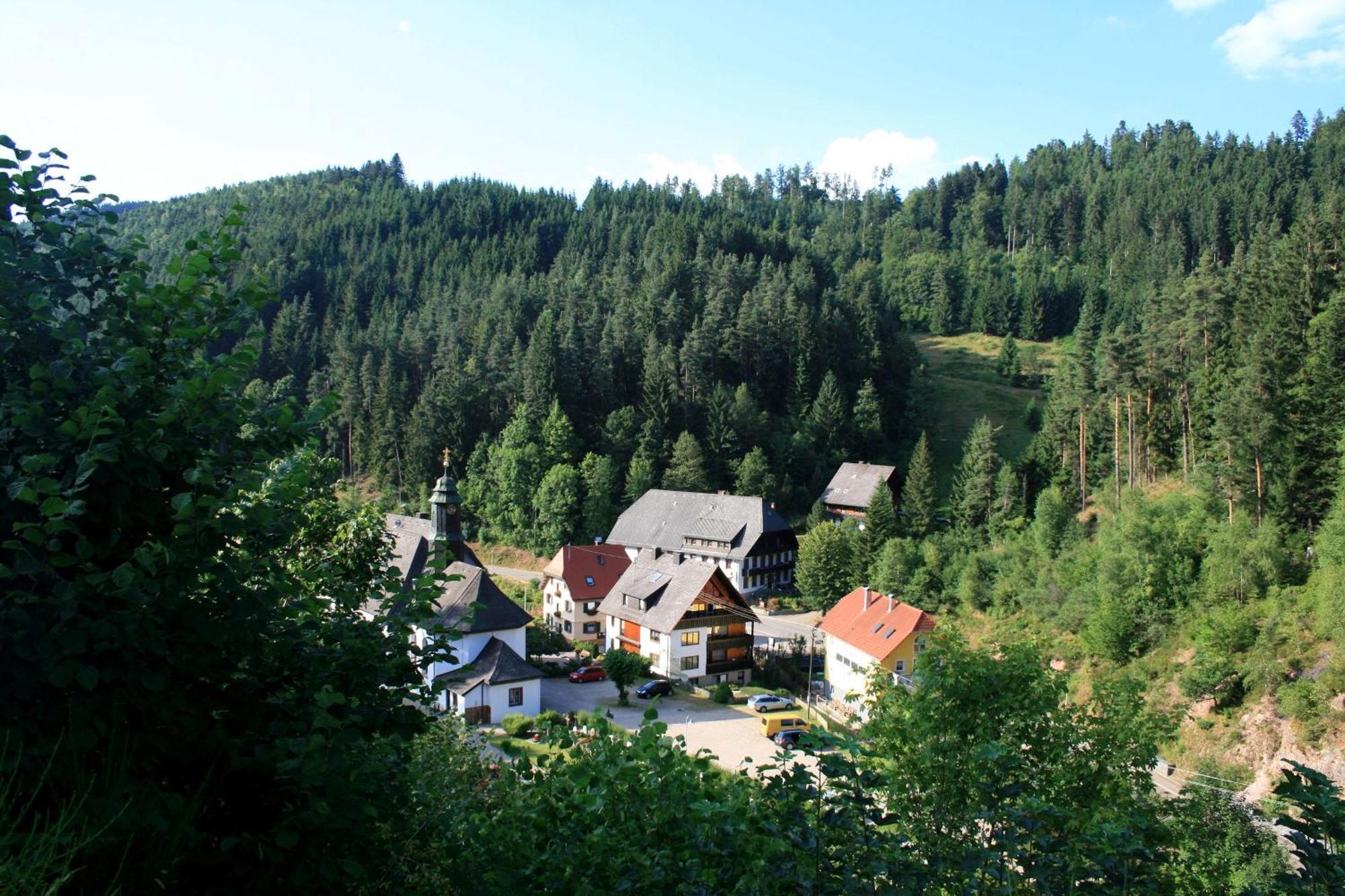 Haus Am Waldrand Villa Triberg im Schwarzwald Luaran gambar