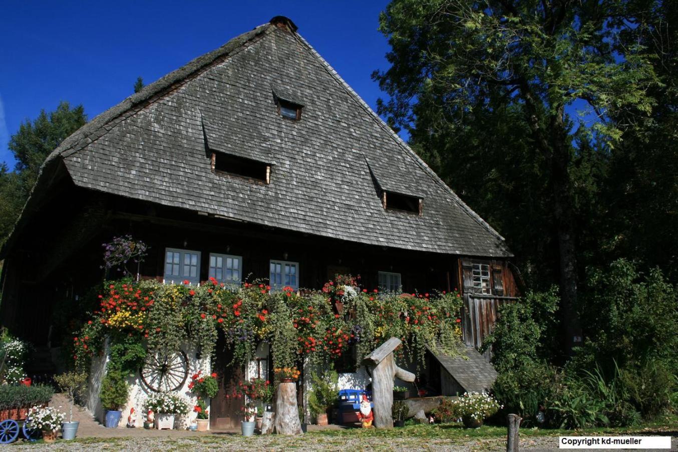 Haus Am Waldrand Villa Triberg im Schwarzwald Luaran gambar