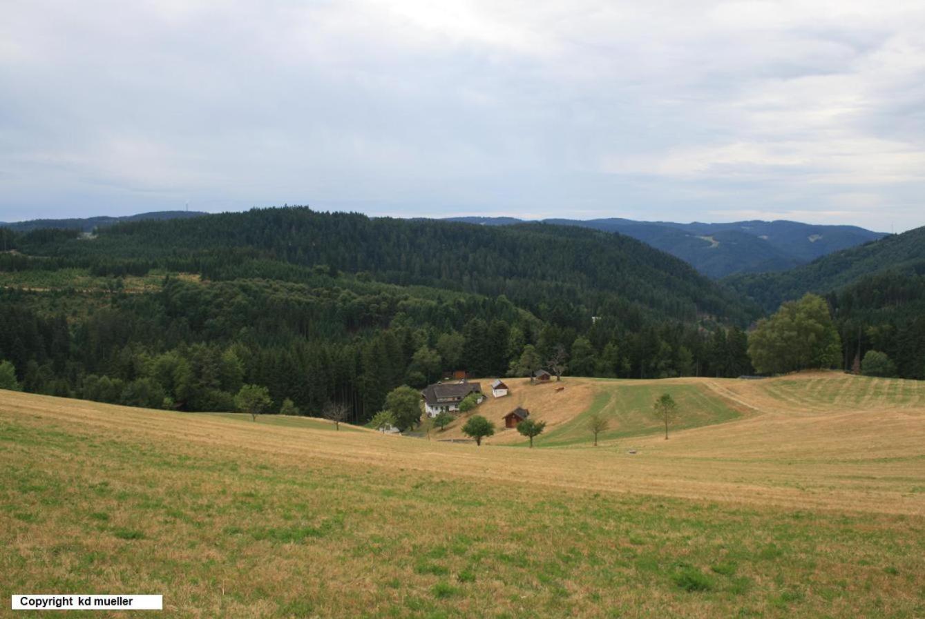 Haus Am Waldrand Villa Triberg im Schwarzwald Luaran gambar