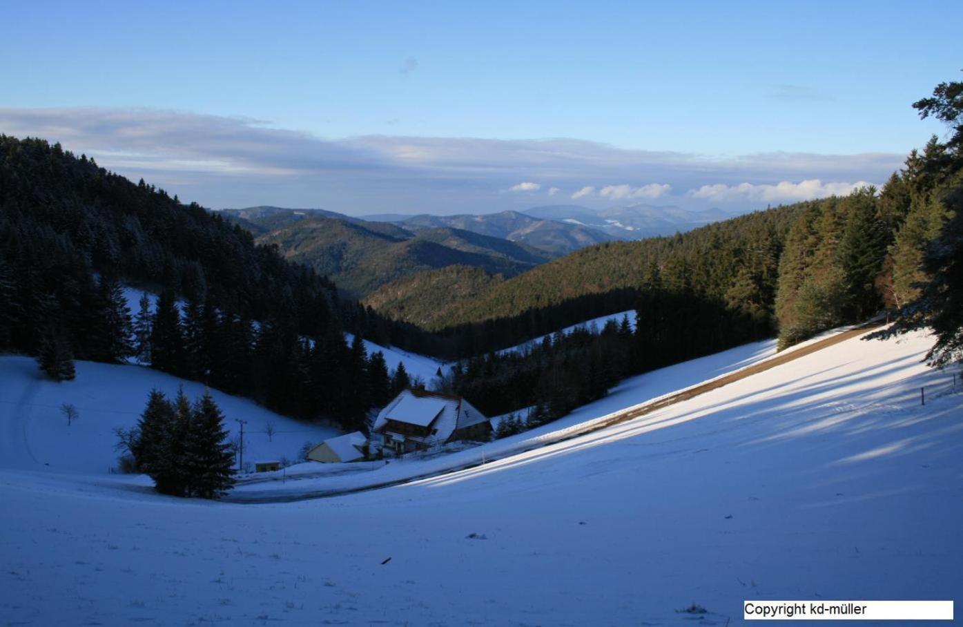 Haus Am Waldrand Villa Triberg im Schwarzwald Luaran gambar
