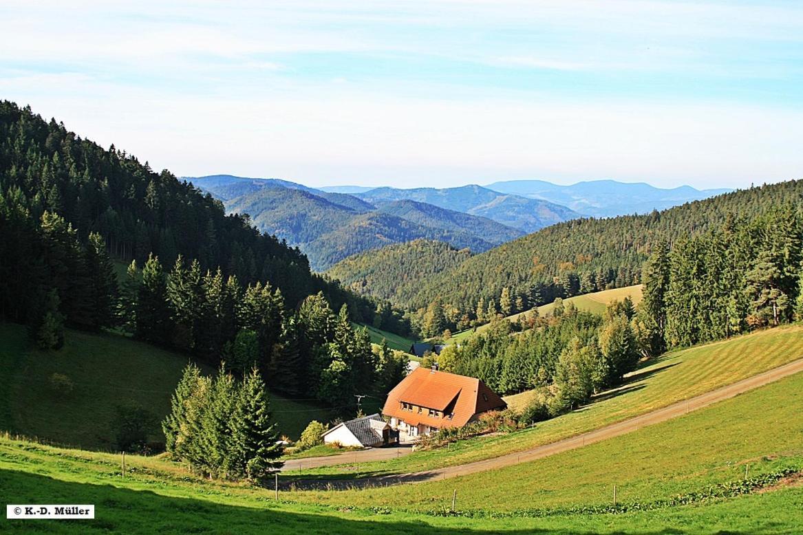 Haus Am Waldrand Villa Triberg im Schwarzwald Luaran gambar