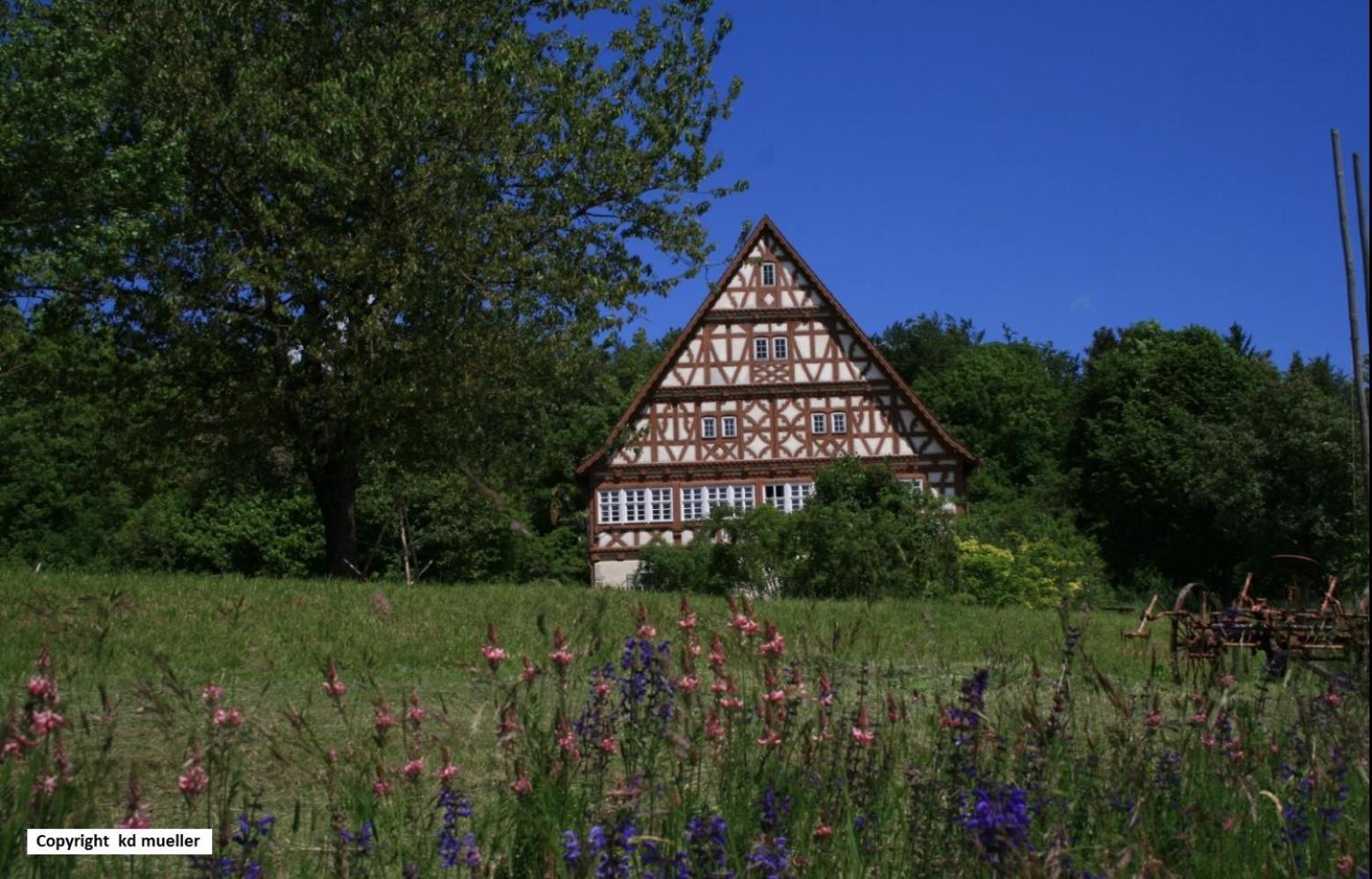 Haus Am Waldrand Villa Triberg im Schwarzwald Luaran gambar