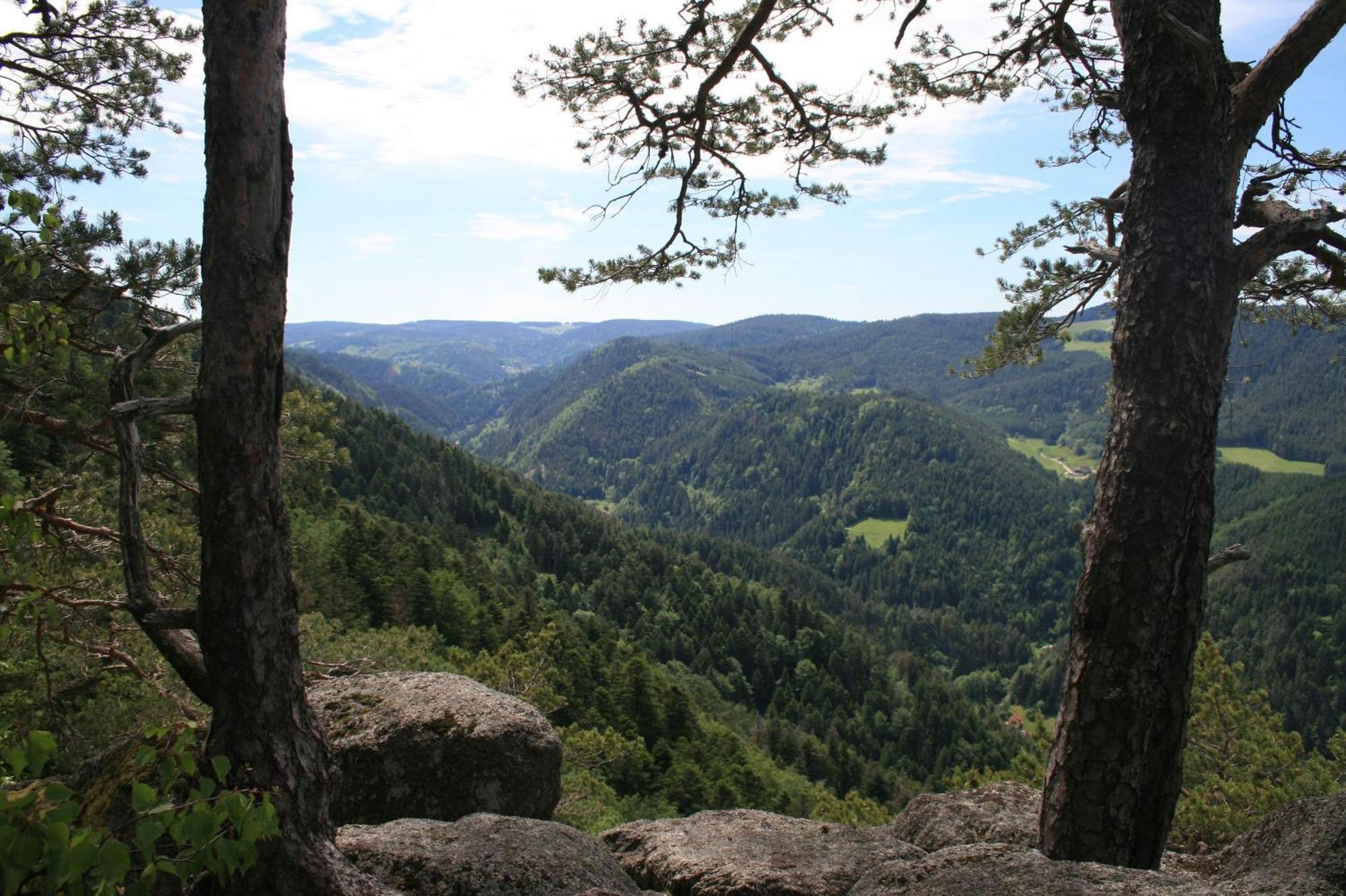 Haus Am Waldrand Villa Triberg im Schwarzwald Luaran gambar