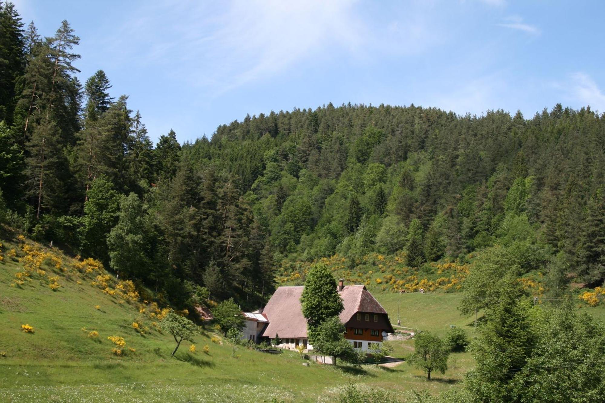 Haus Am Waldrand Villa Triberg im Schwarzwald Luaran gambar