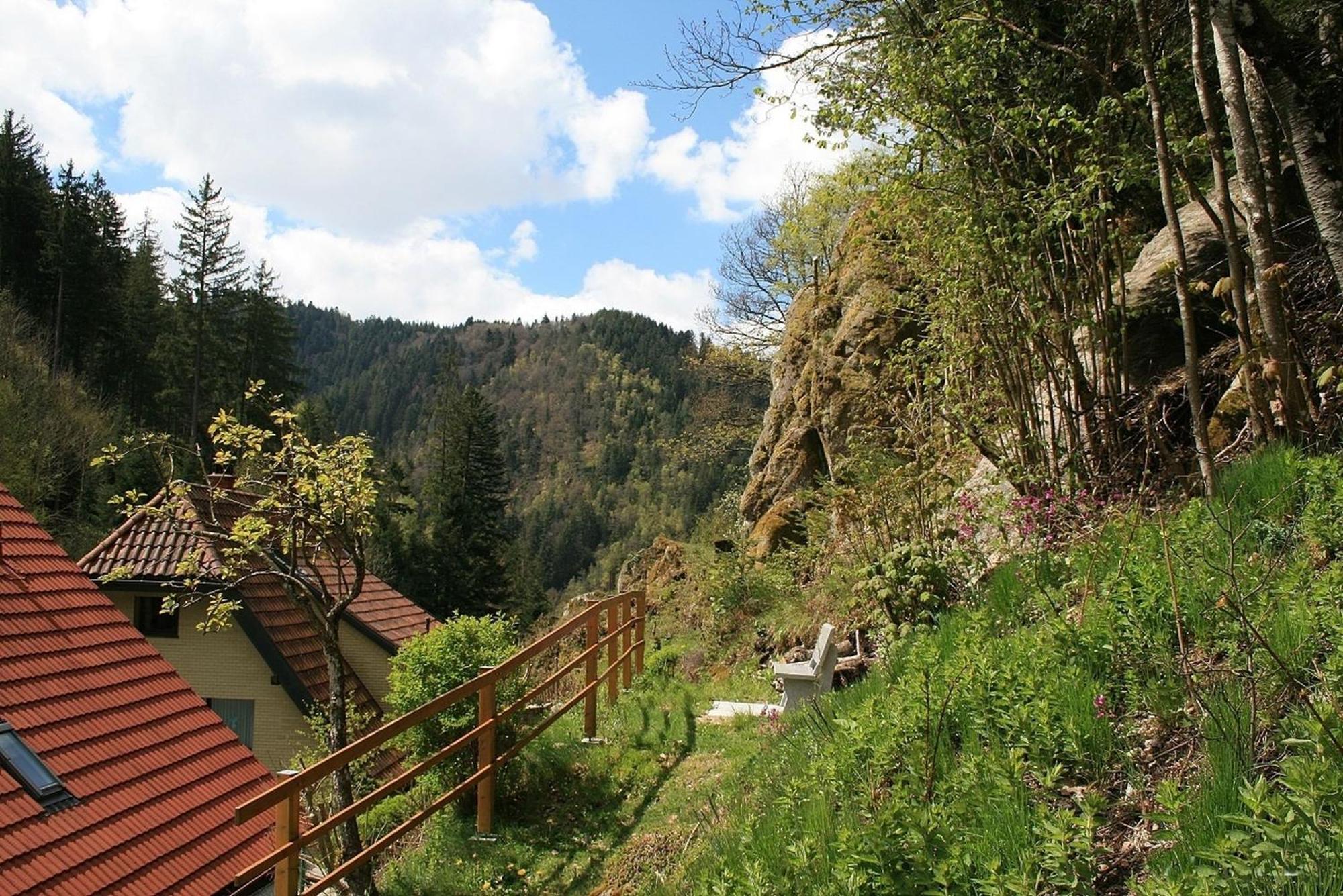 Haus Am Waldrand Villa Triberg im Schwarzwald Luaran gambar