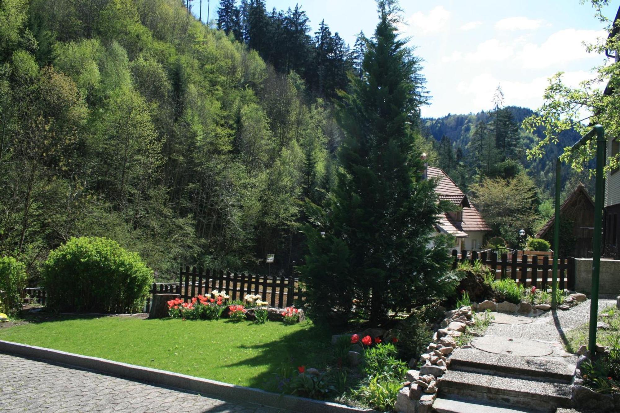 Haus Am Waldrand Villa Triberg im Schwarzwald Luaran gambar