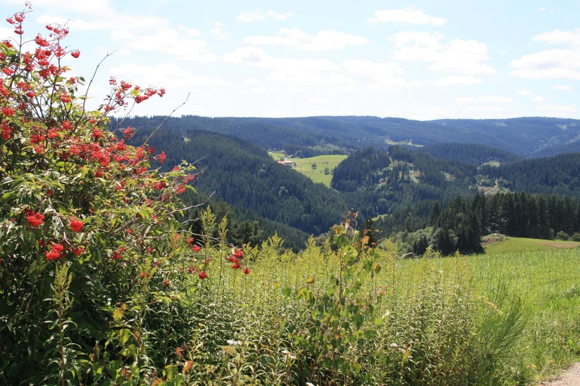 Haus Am Waldrand Villa Triberg im Schwarzwald Luaran gambar